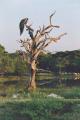 Yala National Park
